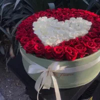 باکس ۸۰ شاخه ای رزهلندی ممتاز با قیمت باورنکردنی