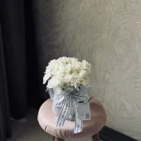 جارگل داوودی با قیمت ویژه