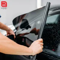شیشه دودی فقط دوتومن