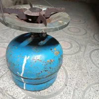 پیک نیک سالم