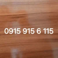 شماره رند 915