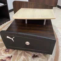 پاتختی پوما