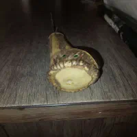 عصای خنجری