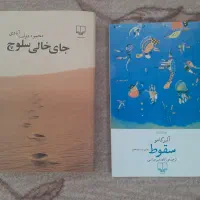 کتاب های جای خالی سلوچ و سقوط