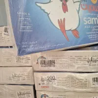مرغ سایز اکبر جوجه سینه ران فیله