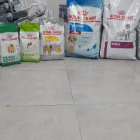 غذای اورجینال سگ و گربه