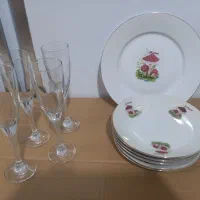 ظروف پذیرایی