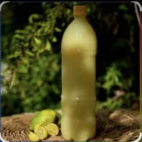 ابلیمو طبیعی