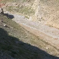 3قطعه350متری-زمین-بیرجند