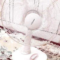 پنکه ایستاده