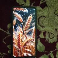 S23FE|موبایل|کرمانشاه, |دیوار