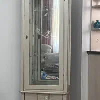 ویترین چوبی