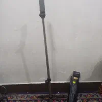 پایه سلفی