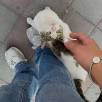 کار در منزل آسون