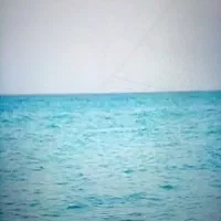 آموزش شنا ازمبتدی تا حرفه ای