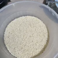 نیم دانه و لاشه هاشمی