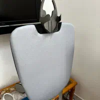 اتو و بخارگر ایستاده ژانومه