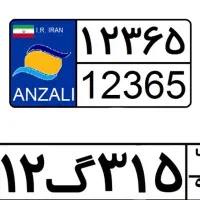 پلاک ماشین گم کردم