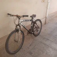 دوچرخه 26 ویوا