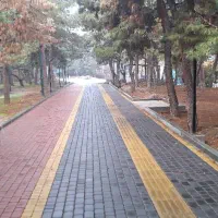 محوطه ساز کفپوش بتنی جدول کاری سنگ فرش