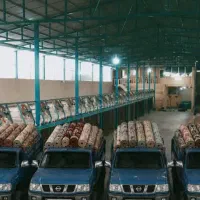 قالیشویی معروف گلرنگ