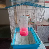 قفس بزرگ