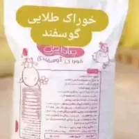 دان بره پرواری