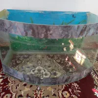 آکواریوم سالم