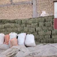 یونجه خشک درجه 1 چین 4