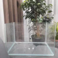 اکواریوم ۹۰۰ تومان