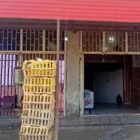 مرغ گوشتی شهرستان 265 فقط امروزادرس، گل اباد