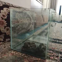 آکواریوم شیشه خم