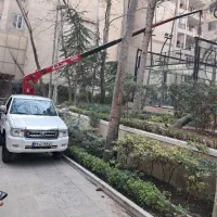 جرثقیل وبالابرکابین دارنیسان دکل 15متر