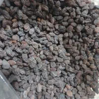 کشمش بوانات