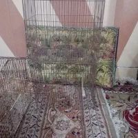 قفس پرنده