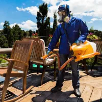 سمپاشی/موریانه/سم پاشی ساس سوسک/کل خوزستان حاظریم