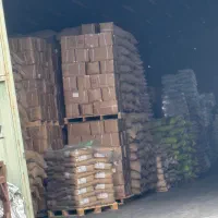 انواع دان قهوه قیمت عمده به شرط