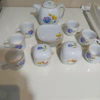 ظروف پذیرایی