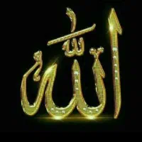 فروش ۰۹۱۲۳۹۵۱۸۴۶
