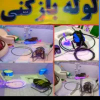 لوله بازکن ازادگان مصباح قلمستان عظیمیه جهانشهرکرج