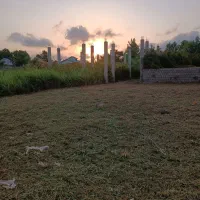 خدمات چمن زن علف زن