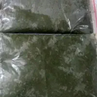دلال ماست ،ماهی