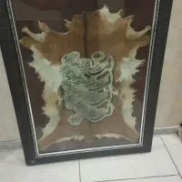 تابلو پوست طبیعی