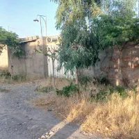 طویله ۲۰۰ متری موقعیت مکانی  بینظیر قیمت استثنایی