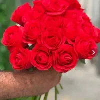 شاخه گل رز هلندی