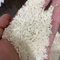 برنج هاشمی