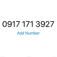 9171713927