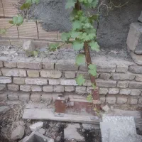 قیچی میلگرد بر