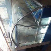 یخچال ویترینی