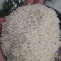 برنج طارم